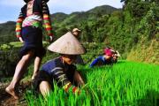 Voyager à Ha Giang et rencontrer Les Lolo